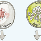 Illustration for article titled From Antivirus to Antibiotics, McAfee Searches for a Last Cure